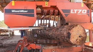 Study Money Builds a Successful Sawmill
